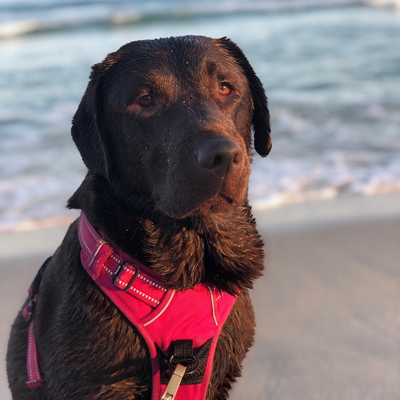 Meet your Posher, Colleen - Picture 1 of 2